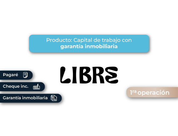 FINANCIAMIENTO CAPITAL DE TRABAJO - GARANTIA INMOBILIARIA #3
